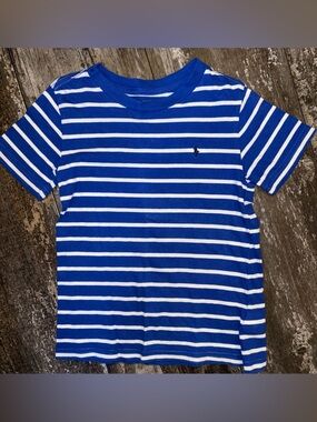 Polo by Ralph Lauren Blue & White Striped Short Sleeve Tee